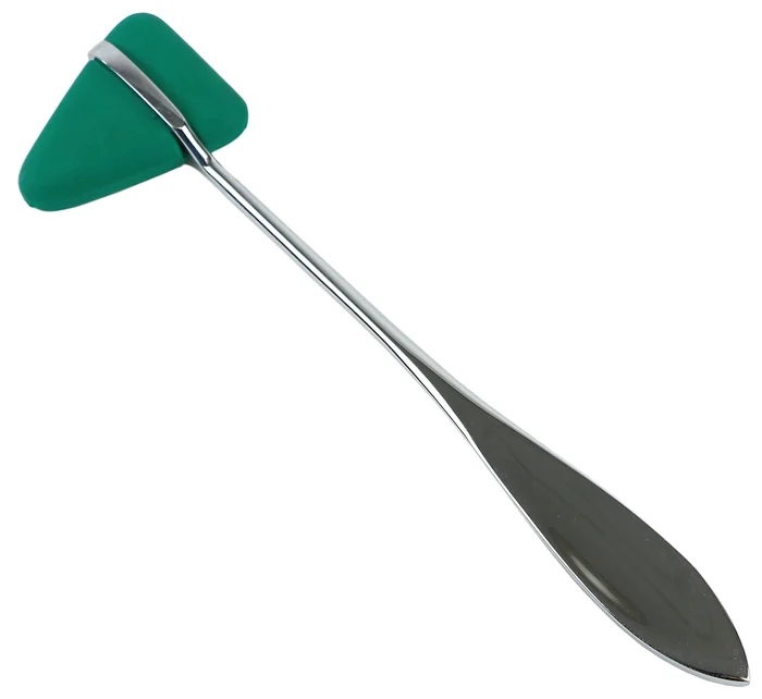 Percussion Hammer – Taylor – Green – Latex Free, 25-pack