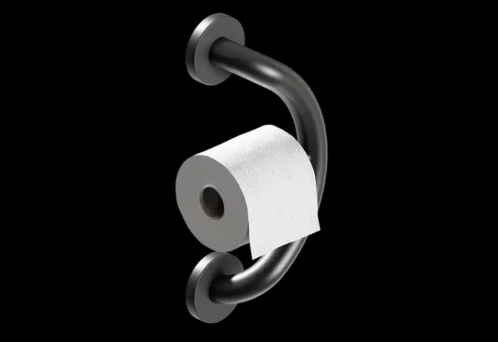 PLUS Toilet Paper Holder + Grab Bar – PLUS-TP-BLK