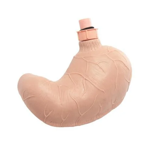 Replacement stomach for patient care training manikin – 1020720