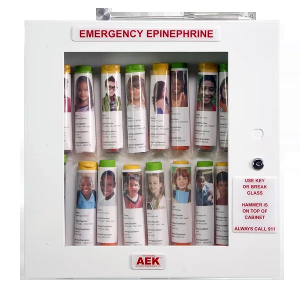 School Nurse’s Office 16 Unit Allergy Emergency Supply Cabinet