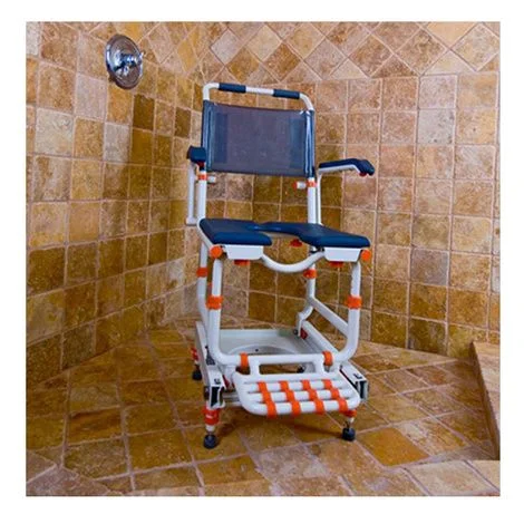 Showerbuddy Standard Shower Transfer System