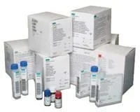 Siemens PART, SERVICE MDA-15 FUSE F/DIMENSION INSTR (5/PK) – 10457552