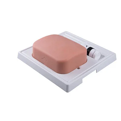 SONOtrain Gallbladder model – 12-4816