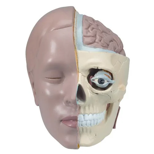 Spare head, 2 parts – 1020660