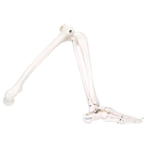 Spare leg (not painted), right, for A10, A10/1, A11, A11/1 and A15 – 1020641