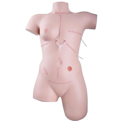 Trainer for wound care and bandaging techniques – 1020592