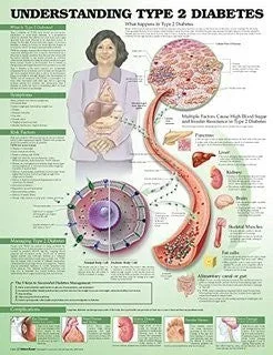 Understanding Type 2 Diabetes Poster 20 x 26