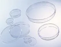 VWR International Cellstar Tissue Culture Dish CELLSTAR Polystyrene – 82050-538