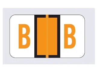 Wilmer Barkley Pre-Printed Label Chart Tab B | B Black / Orange / White 15/16 X 1-5/8 Inch – W-5111-B