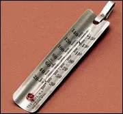 Wolf X-Ray Stainless Steel Thermometer for Developing Tanks